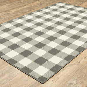 2' X 4' Gray and Ivory Indoor Outdoor Area Rug