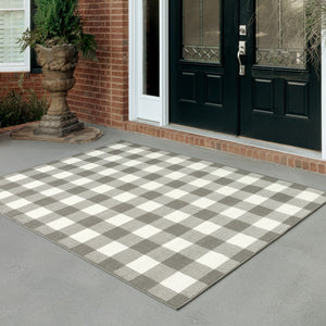 2' X 4' Gray and Ivory Indoor Outdoor Area Rug