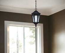Load image into Gallery viewer, Stratford 1-Light Architectural Bronze Hanging Light