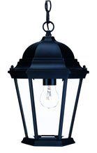 Load image into Gallery viewer, Matte Black Domed Glass Lantern Hanging Light