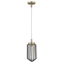 Load image into Gallery viewer, Gold and Black Metal Cage Pendant Hanging Light