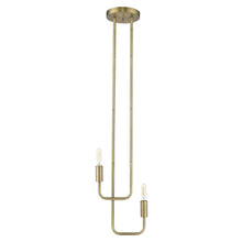 Load image into Gallery viewer, Perret 2-Light Aged Brass Pendant