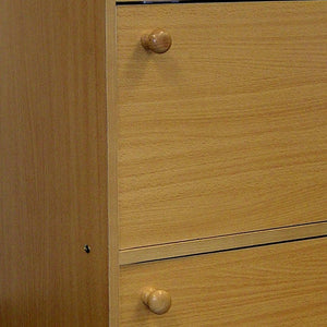 Standard Natural Double Door Verticle Book Shelf