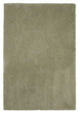 Load image into Gallery viewer, 8&#39; X 10&#39;  Polyester Sage Area Rug